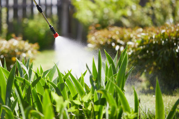 Tamper-Resistant Bait Stations for Rodents in Arp