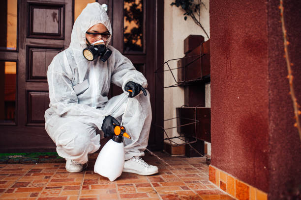 Attic and Crawl Space Rodent Treatment in Arp