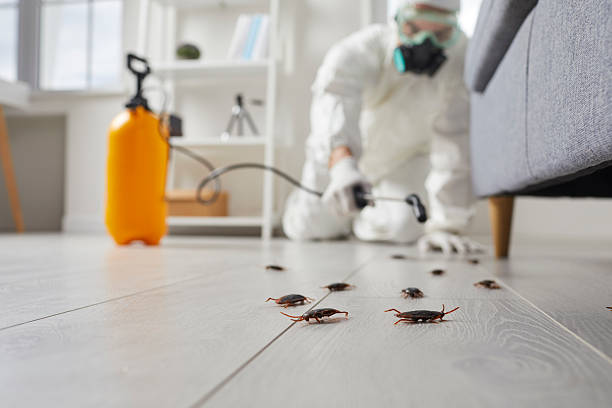 Commercial Rodent Management in Arp